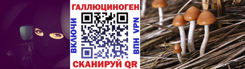 МЕГА ссылка  Маркс  Псилоцибиновые грибы мухоморы  где можно купить наркотик 